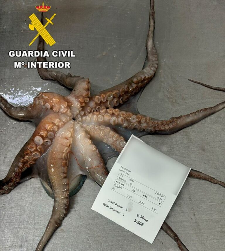 Intervienen 27 kg de pulpo procedente de pesca ilegal en Lobos