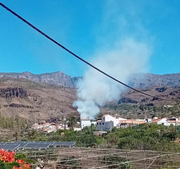 Extinguido el incendio declarado en Fataga, Gran Canaria