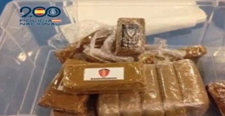 Detenidas 6 personas y desmanteladas dos asociaciones cannábicas en el sur de Tenerife