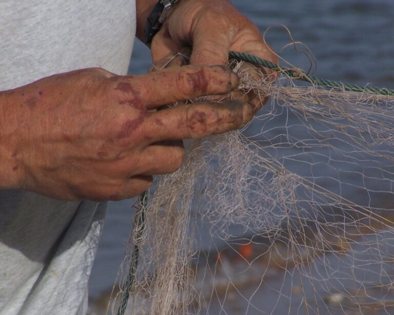 La Reserva Marina de La Palma cumple 23 años