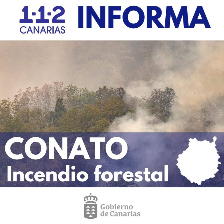 Controlado el conato de incendio forestal en Moya, en Gran Canaria