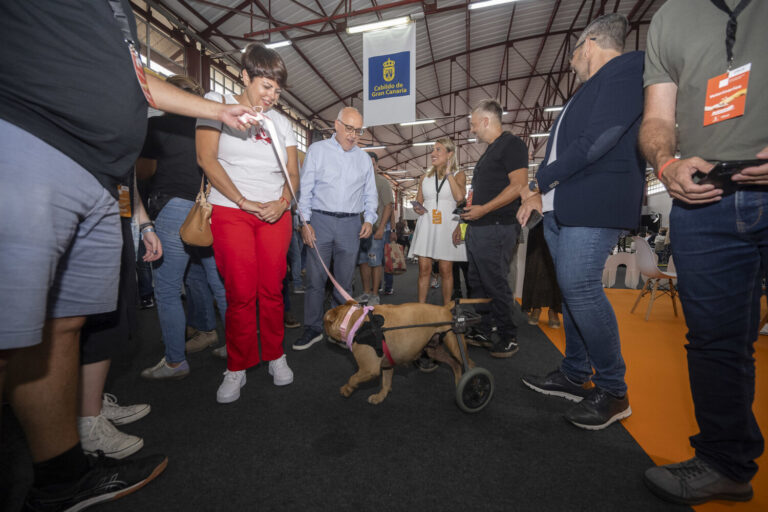 Animundo abre sus puertas en busca de adopciones duraderas