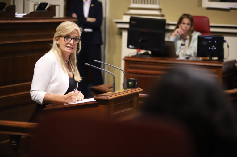 Monzón destaca la evolución de la hospitalización a domicilio, mientras Vox apunta a “cifras poco ambiciosas”