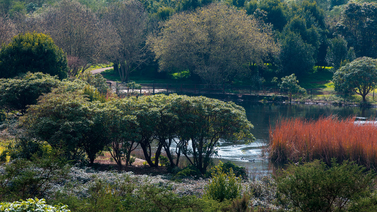 El otoño llega a Canarias con un clima más seco y cálido de lo habitual ...