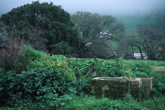 8 millones para abaratar el agua de riego agrícola