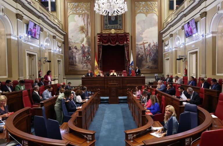 Pleno del Parlamento | Monzón niega “meter pacientes bajo alfombras” como la acusa el PSOE para mejorar las listas de espera