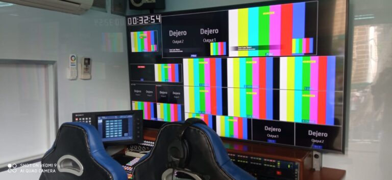 Romería Virgen del Pino 2024 | Galería de imágenes