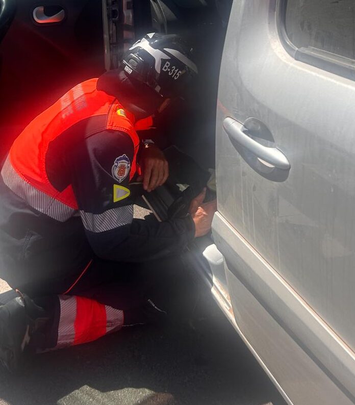 Gato atrapado en Arrecife, Lanzarote