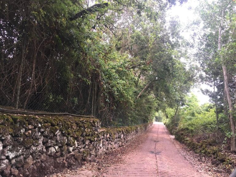 Dos detenidos por el robo de una vivienda en El Sauzal