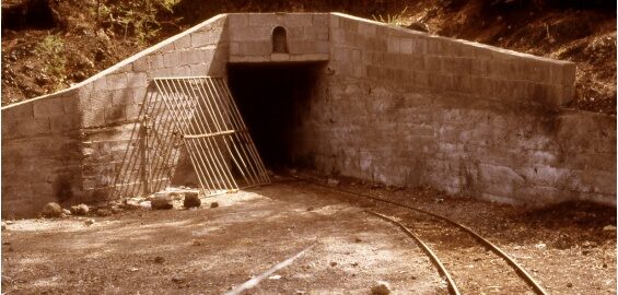 ‘De campo y de mar’ se introduce en una galería, una de las formas de extracción de agua más tradicionales de Canarias