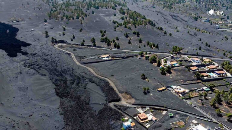 ‘De campo y de mar’ se va a La Palma