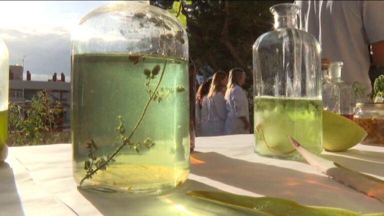 Alumnos del CIFP Las Indias crean fórmulas naturales para la estética