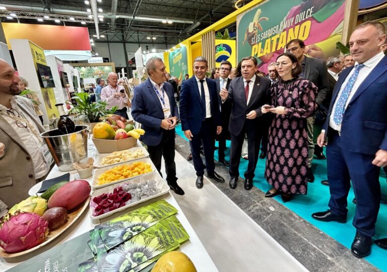 Canarias refuerza sus exportaciones de frutas tropicales hacia Europa