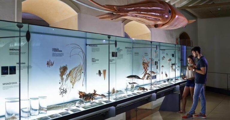 Todo lo que debes saber del Plenilunio de Santa Cruz de Tenerife para este fin de semana