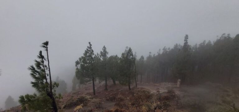 Continúan la nubosidad y las lluvias moderadas en Canarias pero disminuirán con el paso de la semana
