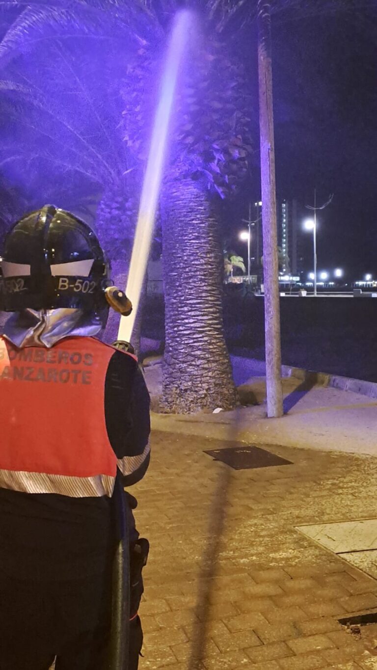 Extinguido el incendio de una palmera en Arrecife