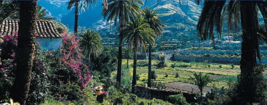 'De campo y mar', de La Radio Canaria, conoce las oportunidades de Agaete este sábado 5 de octubre a partir de las 10:05 horas