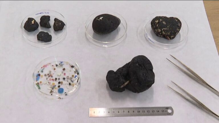 Nuevas formas de contaminantes llegan a las costas de las islas