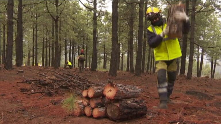 La EIRIF realiza trabajos de prevención de incendios en La Palma