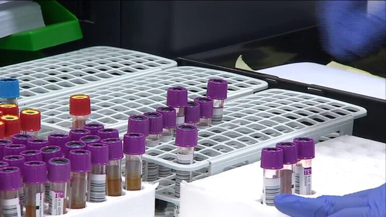 Canarias, a la cabeza en casos de sífilis en toda España