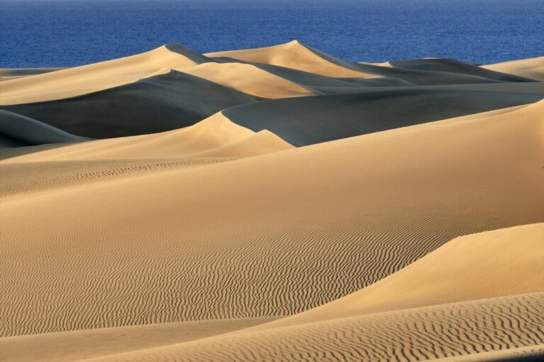 Las Dunas de Maspalomas, bajo presión por el acceso de visitantes a zonas protegidas