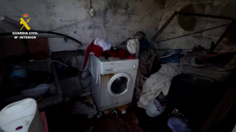 Detenida una persona en Gran Canaria por maltrato animal