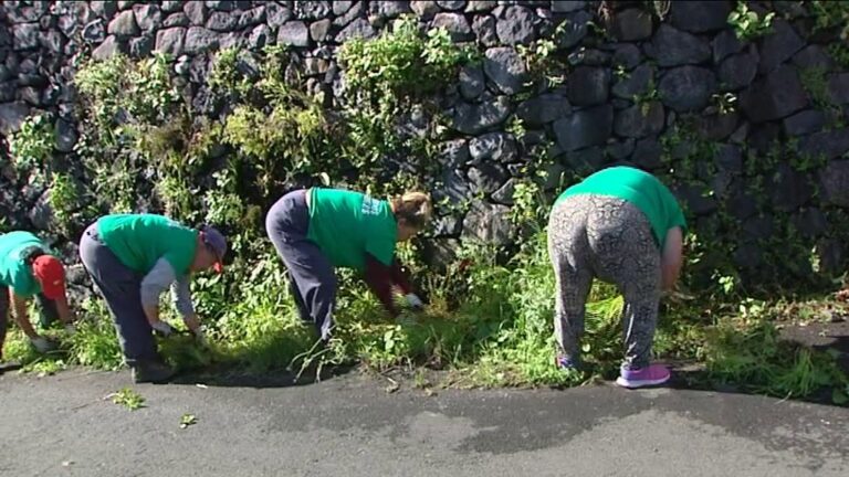 Los ayuntamientos ya pueden solicitar los proyectos del Plan de Empleo Social
