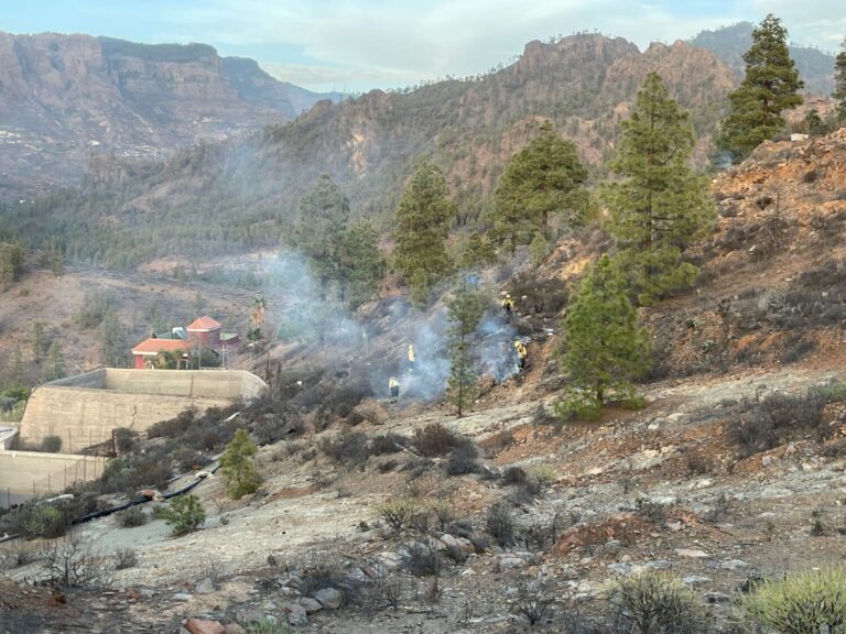 Extinguido el conato en San Bartolomé de Tirajana