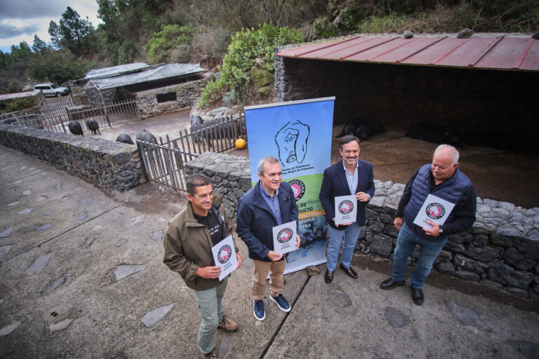 El Cochino Negro Canario, raza autóctona