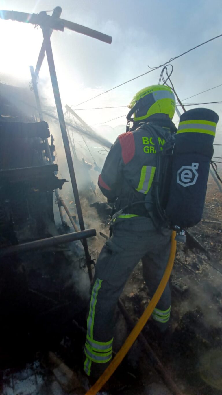 Comienza la cuenta atrás para la Noche en Blanco en La Laguna