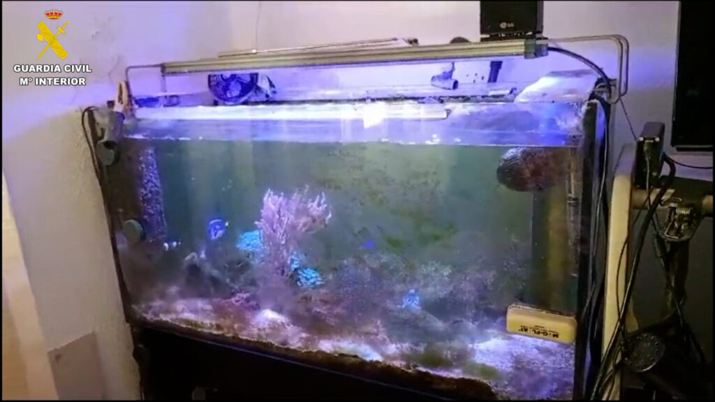 Investigan a un hombre por tener un zoo ilegal en Santa Cruz de TenerifeEn la imagen, uno de los acuarios que localizaron los agentes