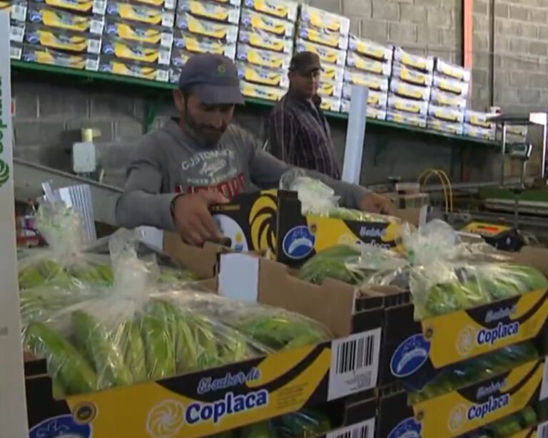 El sector primario rechaza el acuerdo entre la UE y Mercosur