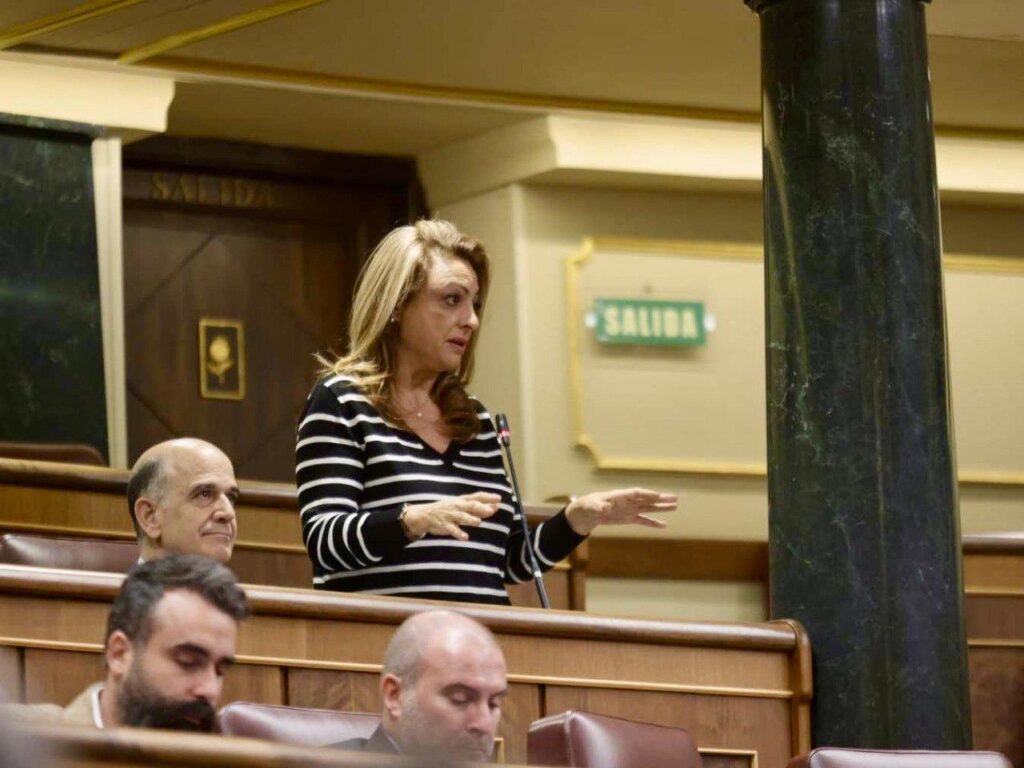 La diputada de CC, Cristina Valido. Imagen cedida por Coalición Canaria