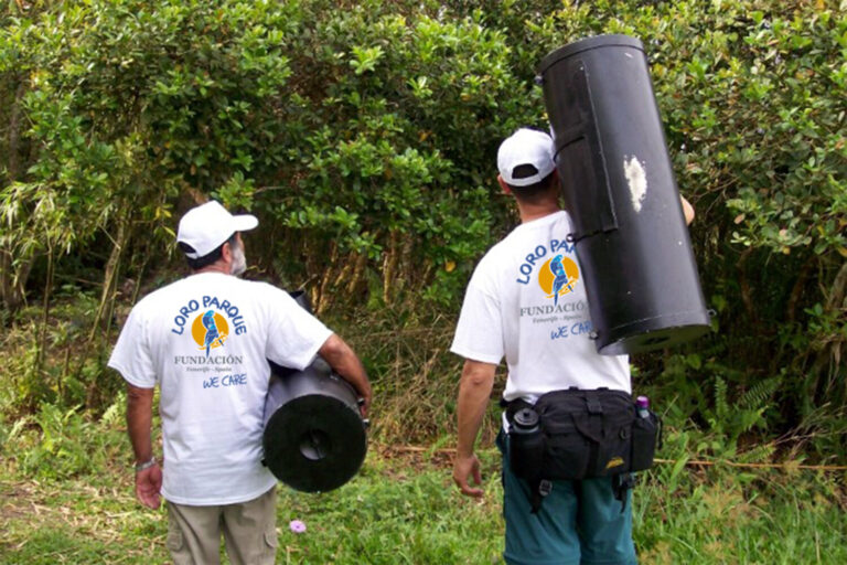 Loro Parque Fundación apuesta por proyectos de protección de la biodiversidad