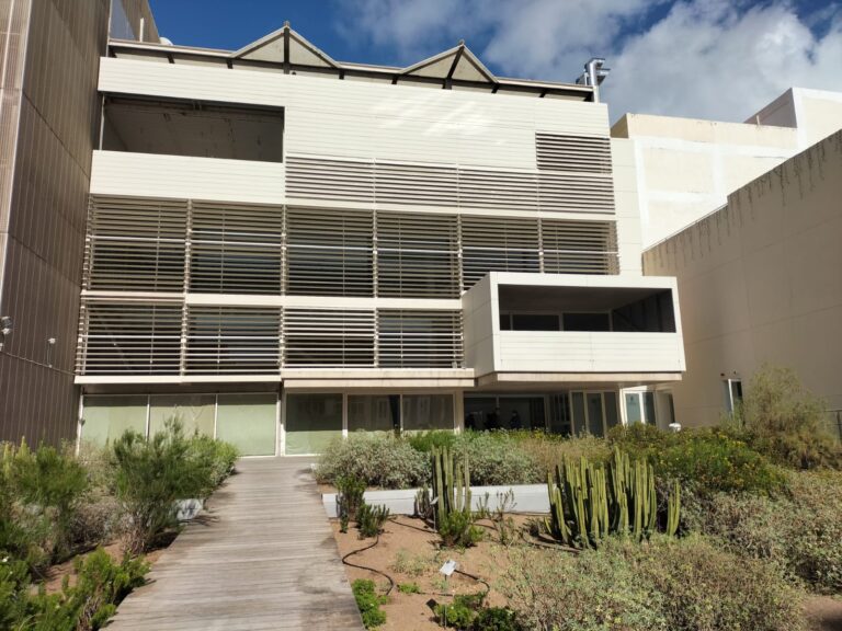 Último Pleno del Cabildo de Gran Canaria en 2024