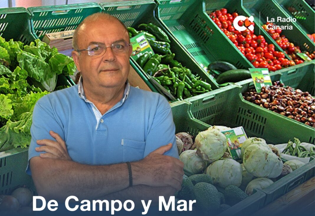 La Radio Canaria se va de 'De campo y mar' por el noroeste palmero este sábado 20 de diciembre a partir de las 10:00 horas