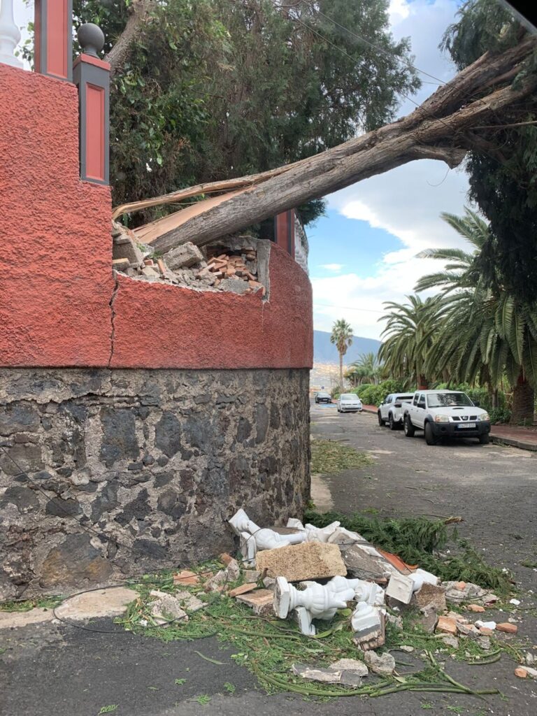 Destrozos y caída de parte de un muro como consecuencia del viento en Santa Úrsula (Tenerife) / Liliana Hennet 