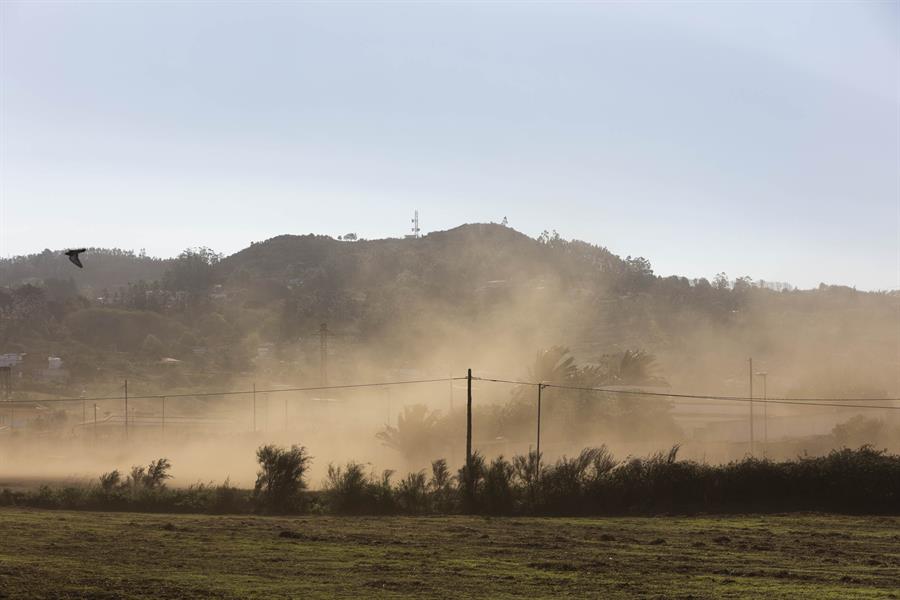 En la imagen se aprecia la tierra levantada por el viento en la zona de Guamasa, La Laguna. EFE/Miguel Barreto