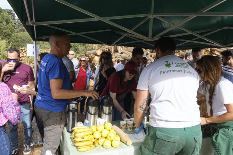 RTVC se suma a la reforestación de árboles como parte de la celebración de los 25 años de la televisión