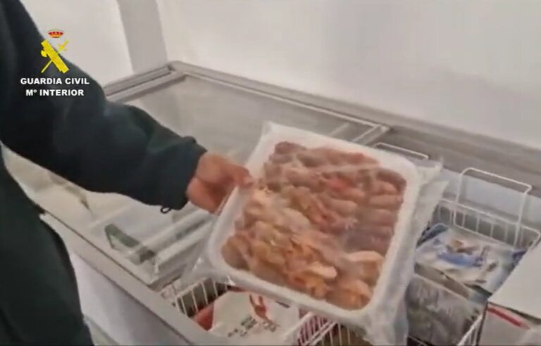 Intervenidas 25 toneladas de alimentos no aptos para el consumo que estaban a la venta en un supermercado de Tenerife