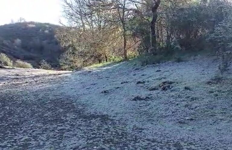 Desaparece la calima y bajan las temperaturas