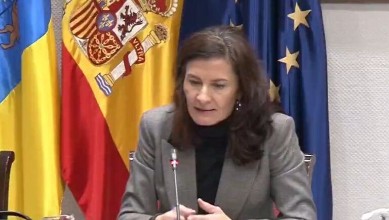 Caso Mascarillas: La directora de la Agencia Tributaria Canaria, asegura que se va a tratar de recuperar los 4 millones de euros pagados a la empresa RR7