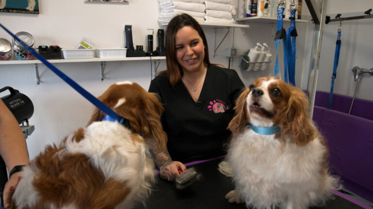 Historias de amor perruno, este sábado en ‘Deja ver’