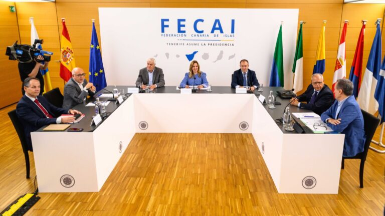 Los cabildos expresan su malestar por la situación migratoria