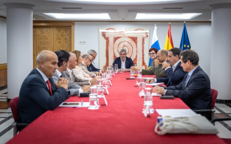 El Pacto Canario por la Migración respalda el texto legal para una distribución extraordinaria de menores migrantes