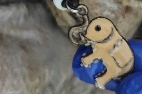 La Guardia Civil pide colaboración ciudadana para identificar un cadáver hallado en Las Palmas de Gran Canaria