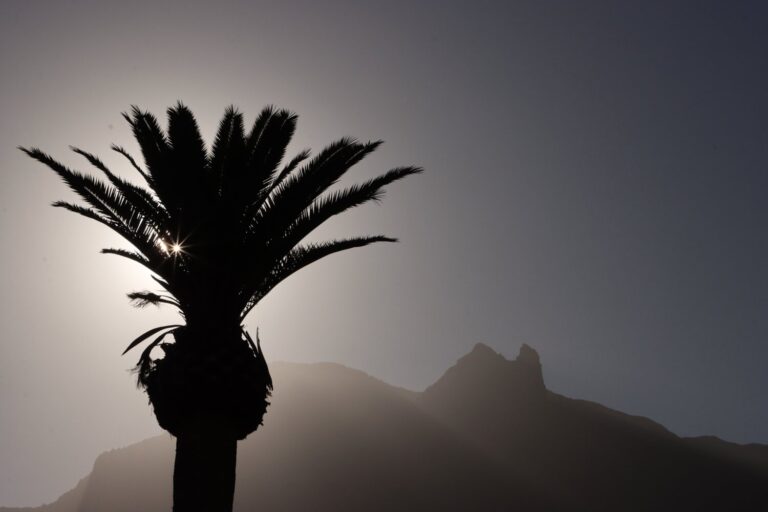 Descienden las temperaturas en todas las islas