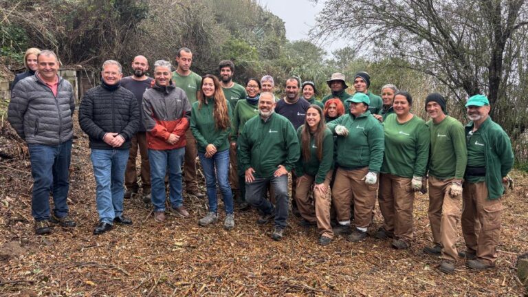 Valleseco tendrá el primer bosque de cenizas de Canarias