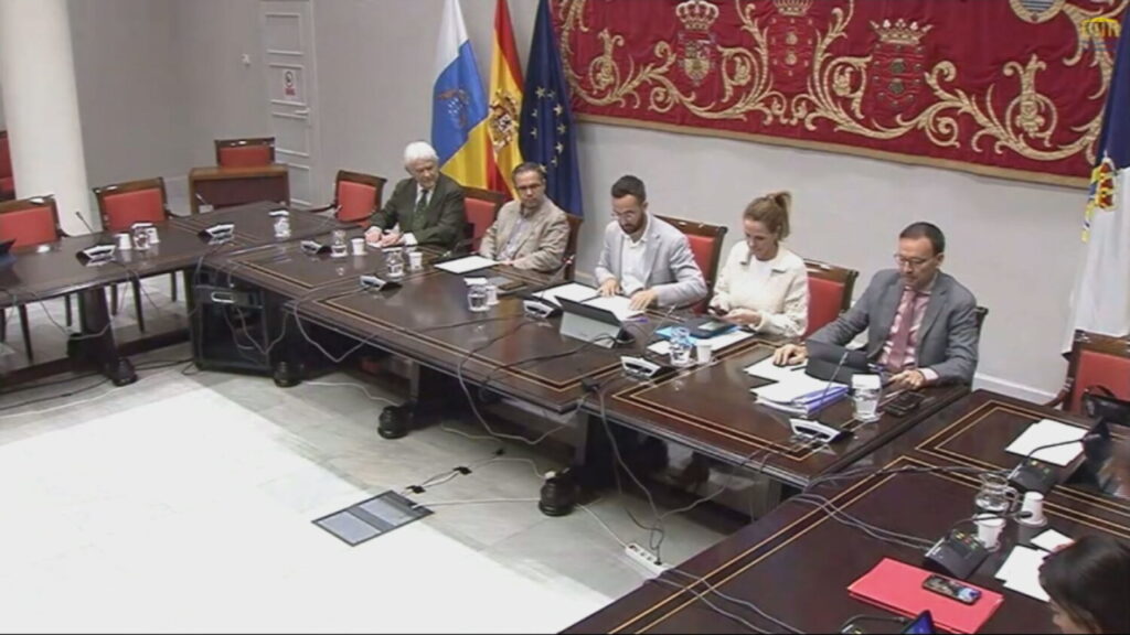 Comisión de investigación en el Parlamento de Canarias por la compra de material sanitario durante la pandemia. Comparecen integrantes del comité científico. Imagen RTVC