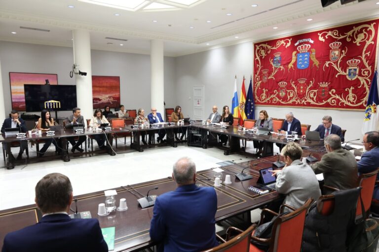 Los cabildos muestran cierto escepticismo ante la ley de alquiler vacacional